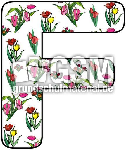 Tulpen-Buchstabe-F.jpg